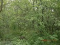 /album/fotogaleria/cimg0862-jpg/