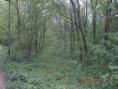 /album/fotogaleria/cimg0863-jpg/