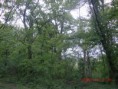 /album/fotogaleria/cimg0864-jpg/