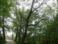/album/fotogaleria/cimg0865-jpg/