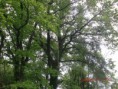 /album/fotogaleria/cimg0869-jpg/