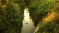 /album/fotogaleria/a1233340-1437356196490331-331109486-n-jpg/